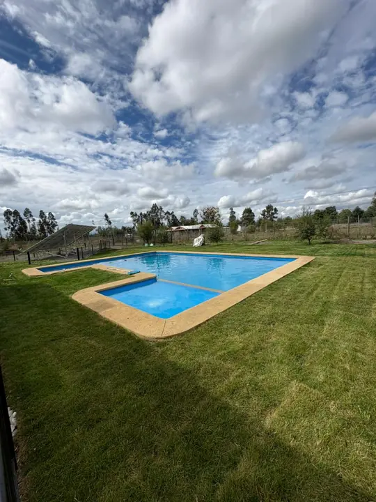 Césped recién instalado alrededor de una piscina en una parcela del Maule